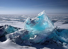 爱上买马挣钱网站app:用数据驱动的马市投资新纪元