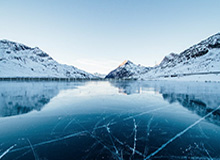 爱上买马挣钱网站app：用数据驱动的马市投资新纪元